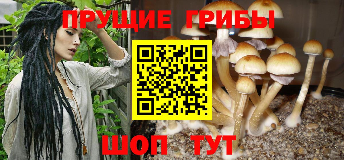 Строитель  Галлюциногенные грибы мухоморы  Вход с VPN  цены наркотик  Галлюциногенные грибы GOLDEN TEACHER 